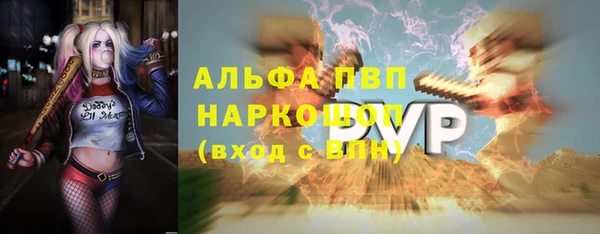 mix Инта