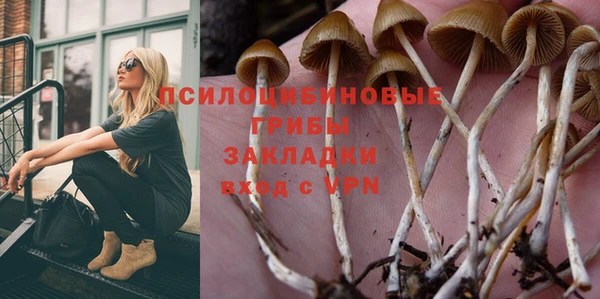 mix Инта