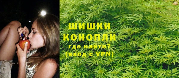 mix Инта