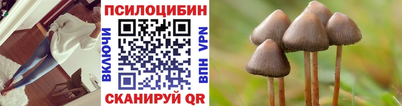 Купить закладки  Верхний Тагил  Псилоцибиновые грибы Magic Shrooms 
